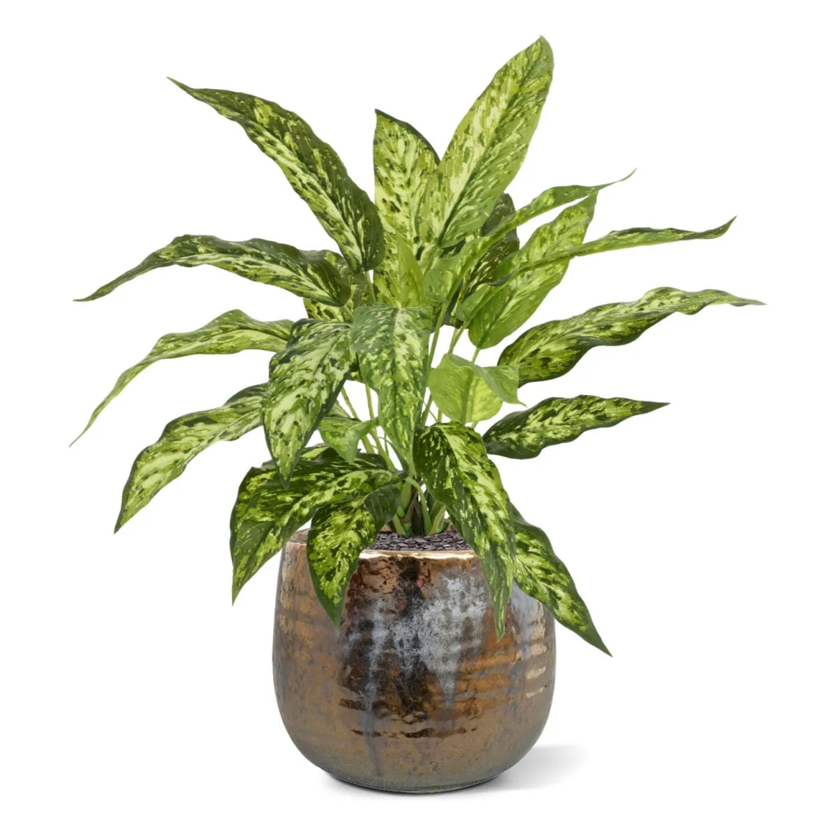 artificial aglaonema plant 1 Ft Artificial Aglaonema N Plant 40cm – Luxiplant