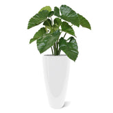 2 Ft Artificial Alocasia Calidora – Tropical Foliage Plant – faux greenery with vibrant texture