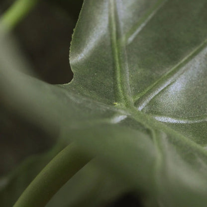 2 Ft Artificial Alocasia Calidora – Tropical Foliage Plant – crafted for realistic tropical vibes