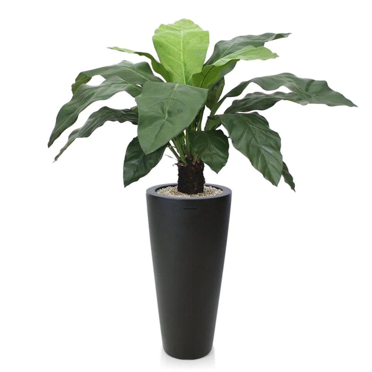 Exotic 3 Ft faux Anthurium Jungle King – a stunning tropical plant alternative
