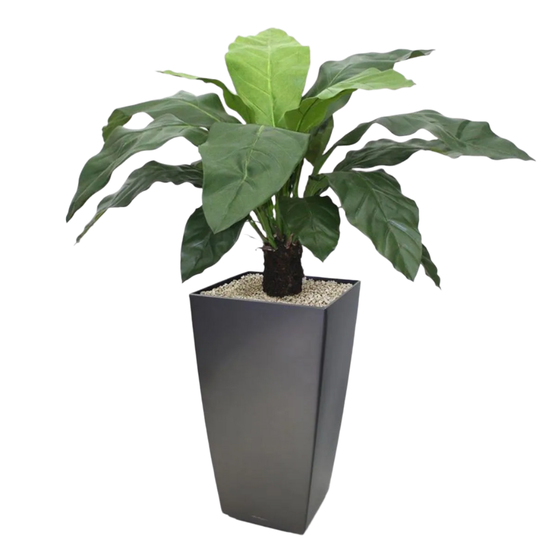 Tropical-inspired 3 Ft faux Anthurium Jungle King – perfect for modern interiors
