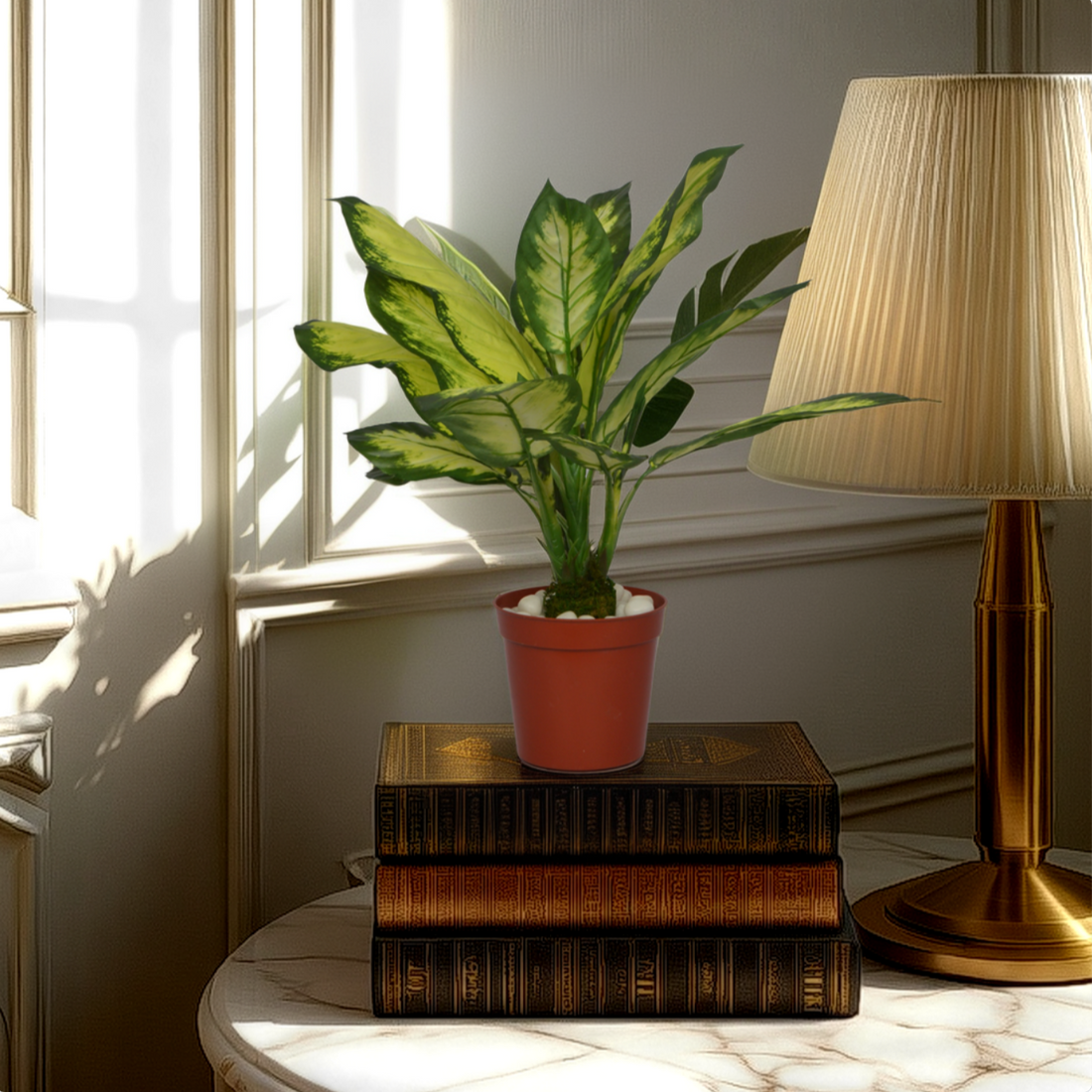 An artificial Dieffenbachia bush in a red pot placed on a stack of vintage books, next to a lamp, on a windowsill.