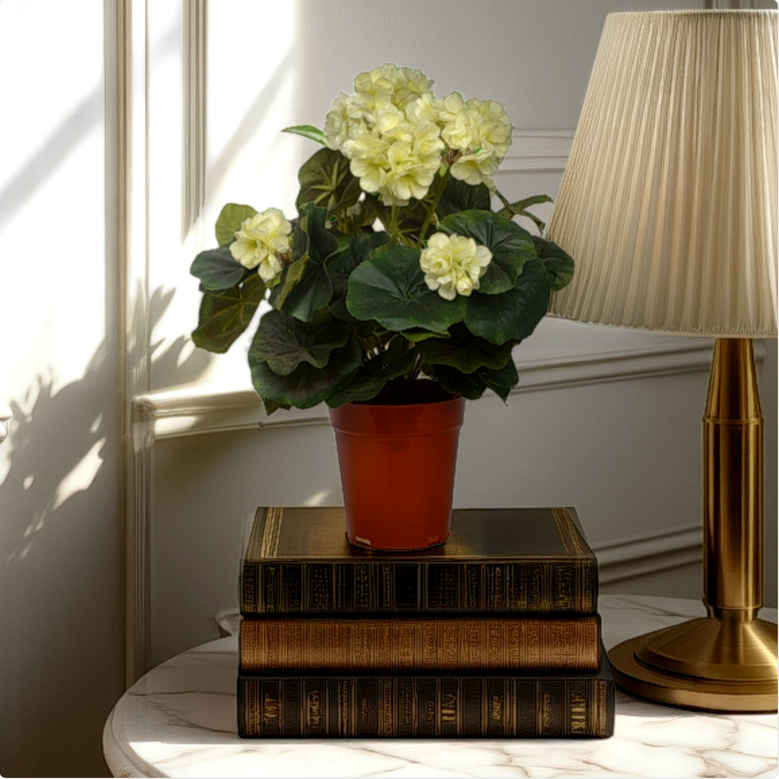 An artificial white geranium bush in a red pot, placed on a stack of brown books, next to a lamp on a white surface, with a window in the background allowing natural light to come in.