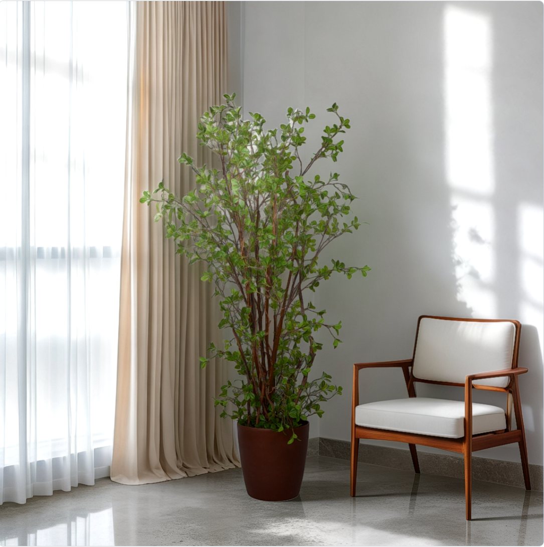 Potted plant next to a wooden chair with white cushion in a room with light-colored curtains.