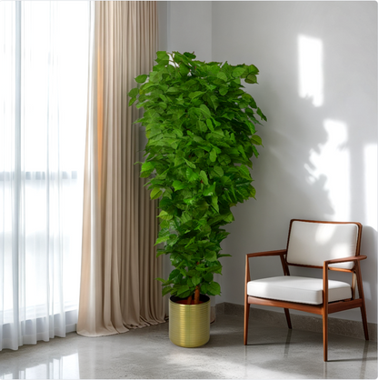 7 Ft Artificial BanyanTree – Elegant Faux Greenery for Indoor and Outdoor Use – Instantly Brightens Any Corner