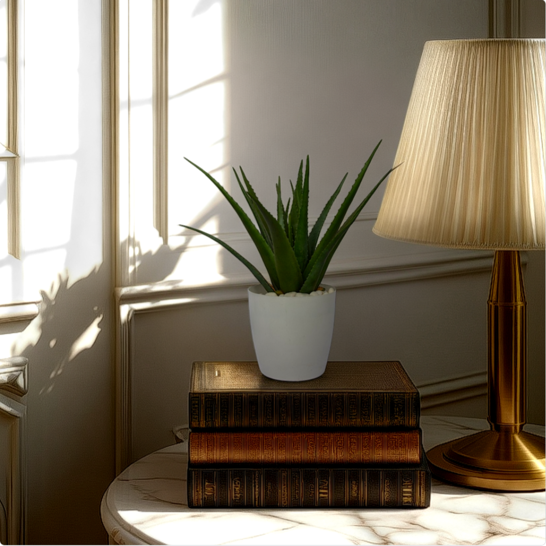 2 Ft Artificial AloeVera – Vibrant Green Accent – Style Your Shelf or Coffee Table Effortlessly