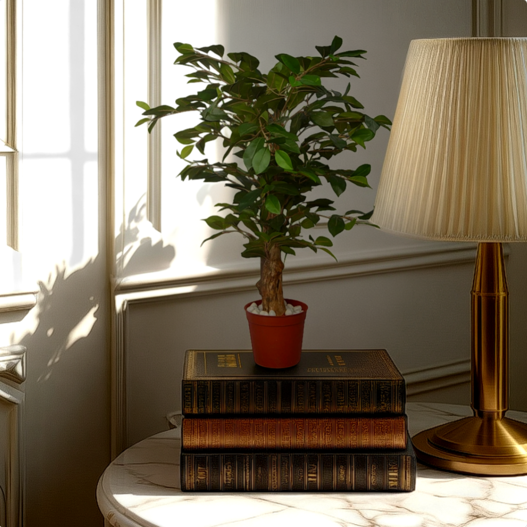 2 Ft Artificial GreenFicusPlant – Vibrant Green Accent – Style Your Shelf or Coffee Table Effortlessly