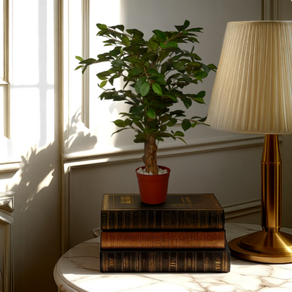 2 Ft Artificial GreenFicusPlant – Vibrant Green Accent – Style Your Shelf or Coffee Table Effortlessly