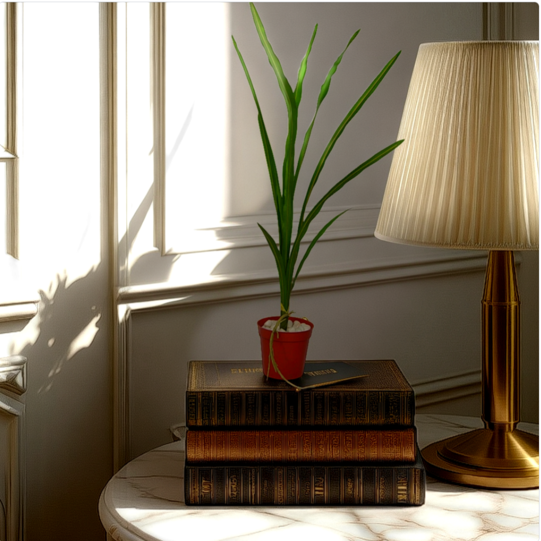 An artificial snake plant in a red pot, placed on a stack of brown books, with a lamp and a window in the background.