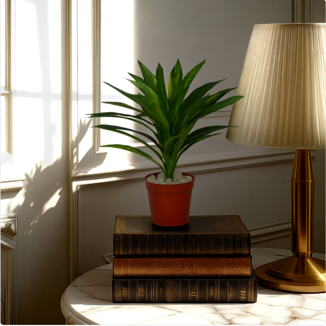1.5 Ft Dracaena Bush Elegant Synthetic Home Plant – Realistic Touch for Modern Interiors