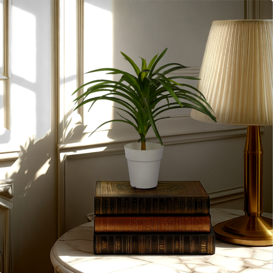 An artificial green Dracaena plant in a white pot, placed on a stack of brown books on a table, with a lamp and window light illuminating the scene.