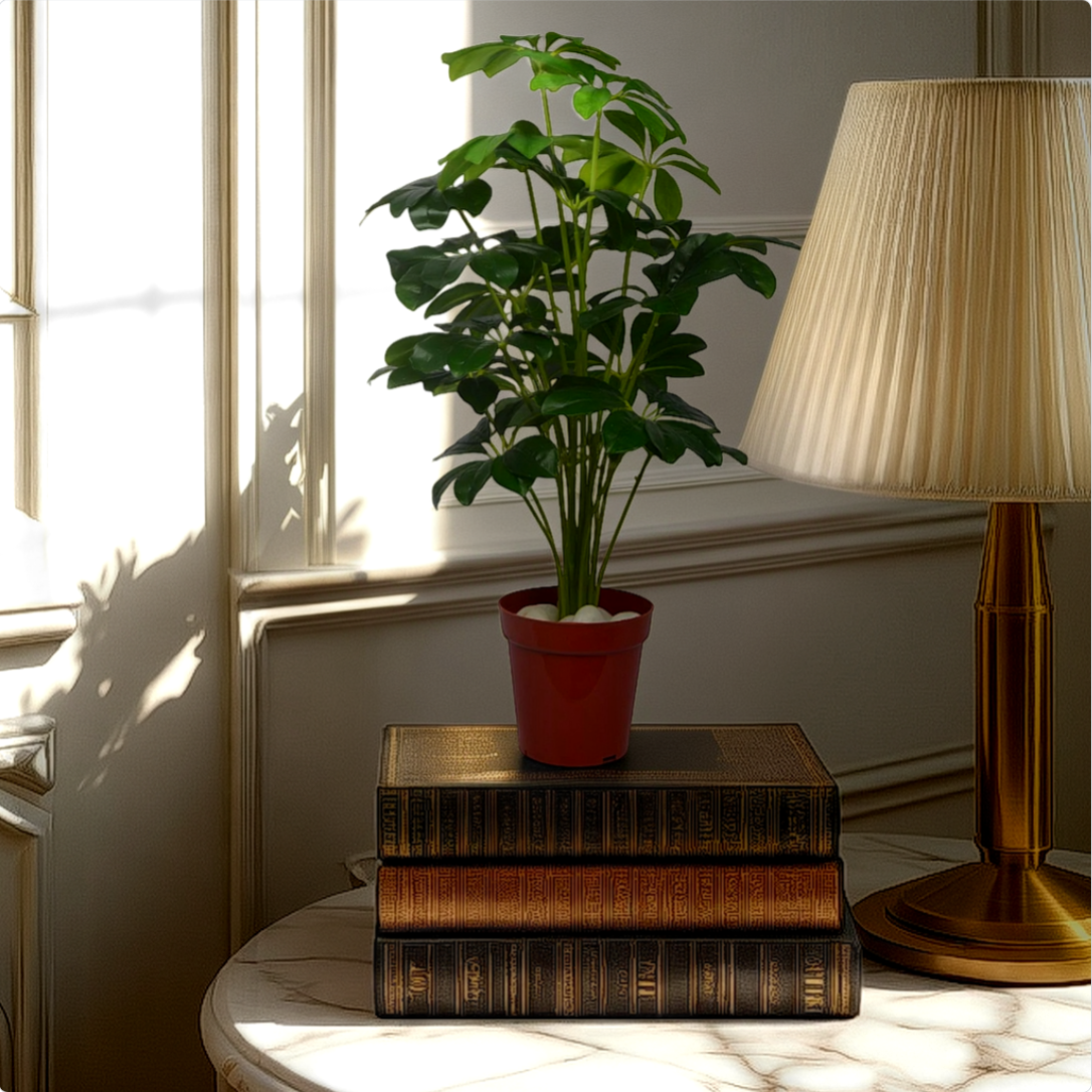 2 Ft Baby Shikka Shefflora Plant Realistic Nature-Inspired Shrub – Chic Artificial Plant to Elevate Any Space