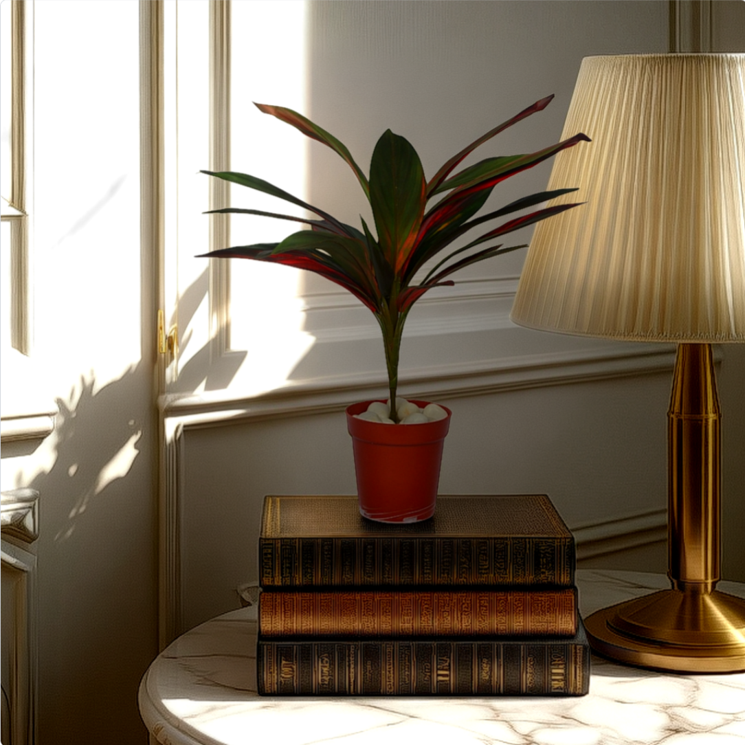 Room interior with a plant, books, and a lamp on a surface near a window.