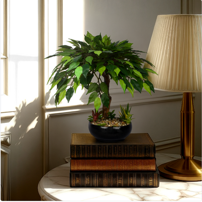 2 Ft Artificial Green Ficus Bonsai – Mini Faux Tree with Realistic Leaves &amp; Decorative Pot for Home, Office &amp; Zen Décor
