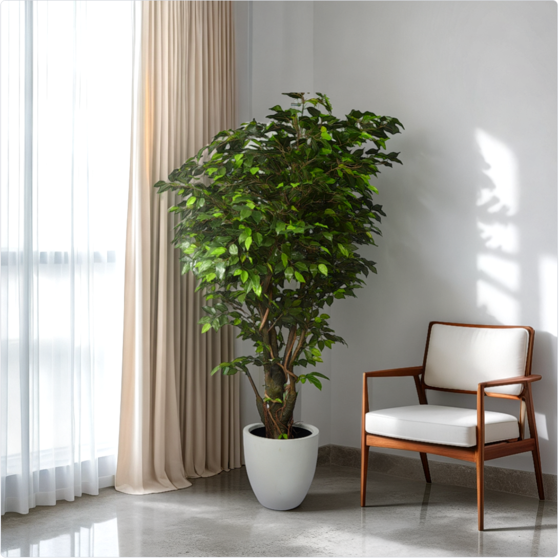 Room with a potted plant and a chair, viewed through a virtual staging tool interface.