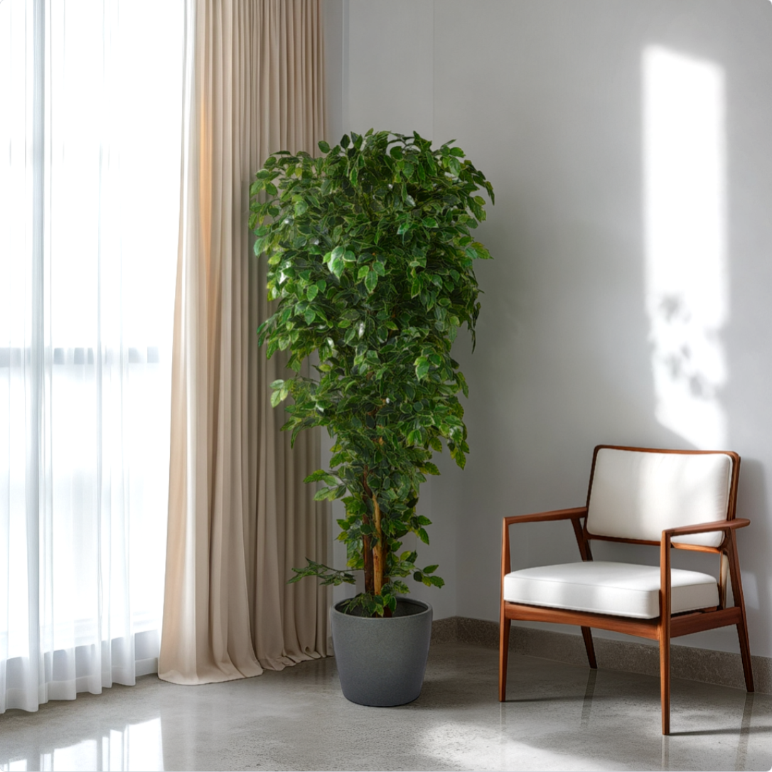Room with a large potted plant and a chair, viewed through a virtual staging tool interface.
