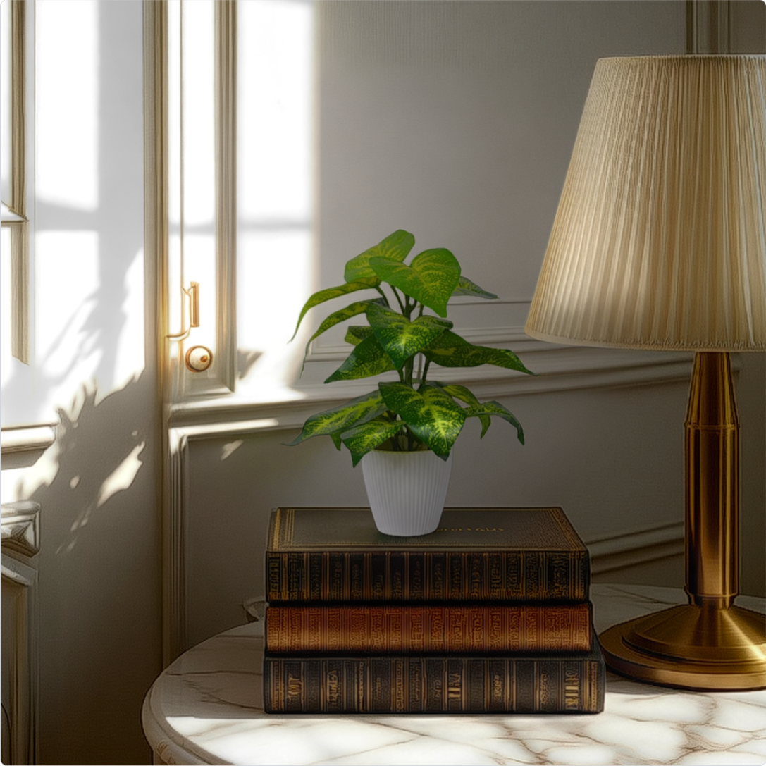Room interior with a plant, books, and lamp on a table near a window.