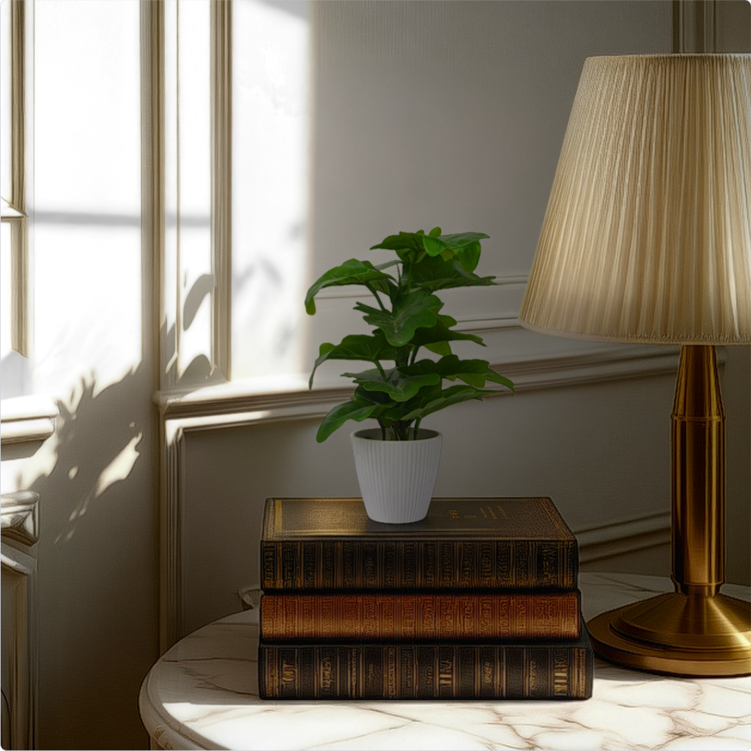 Room interior with a plant, books, and lamp on a table near a window.