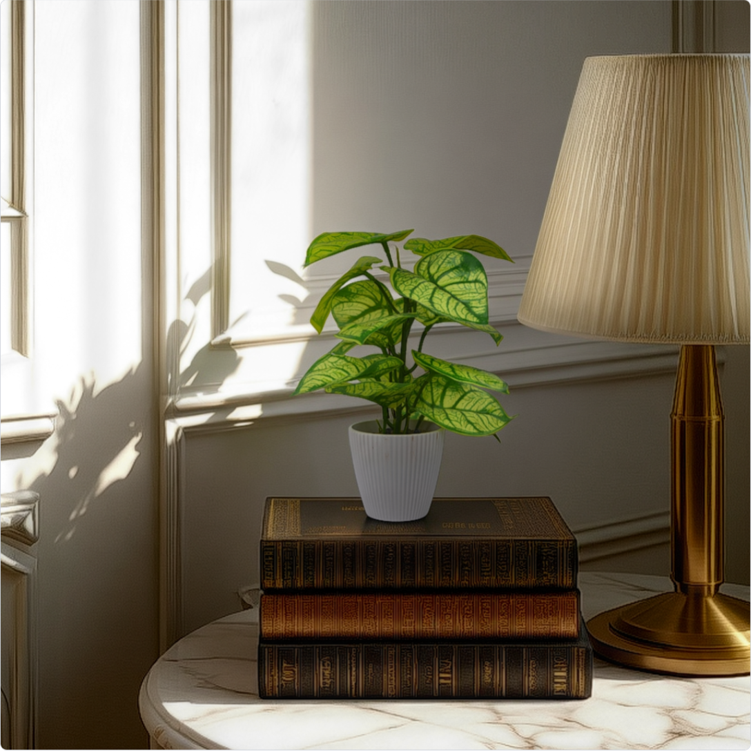 Room with a plant on a table, lamp, and window with sunlight streaming in.