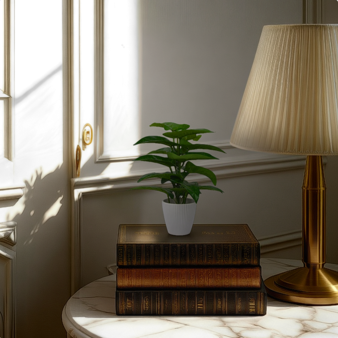 Room interior with a plant, lamp, and books on a table near a window.