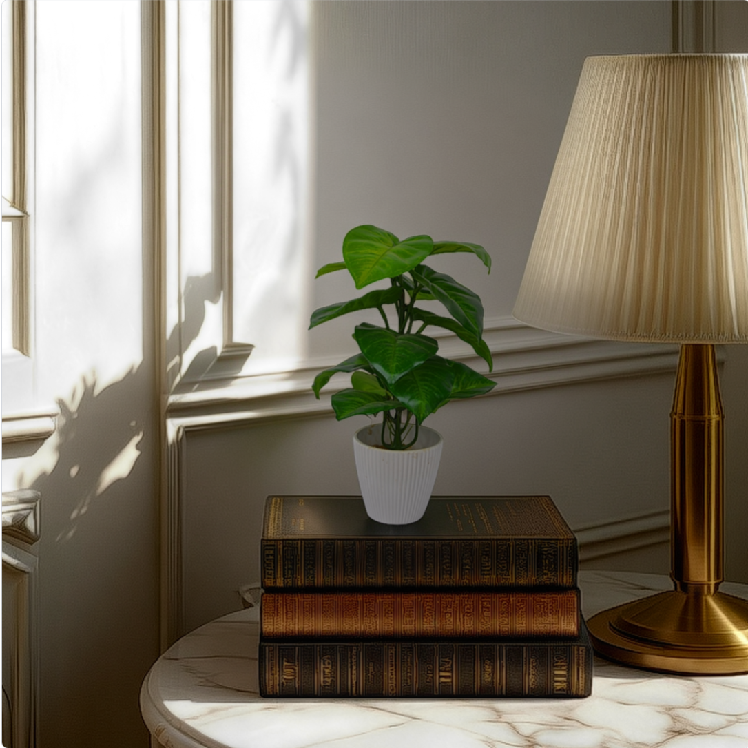 Room interior with a plant, books, and a lamp on a table near a window.