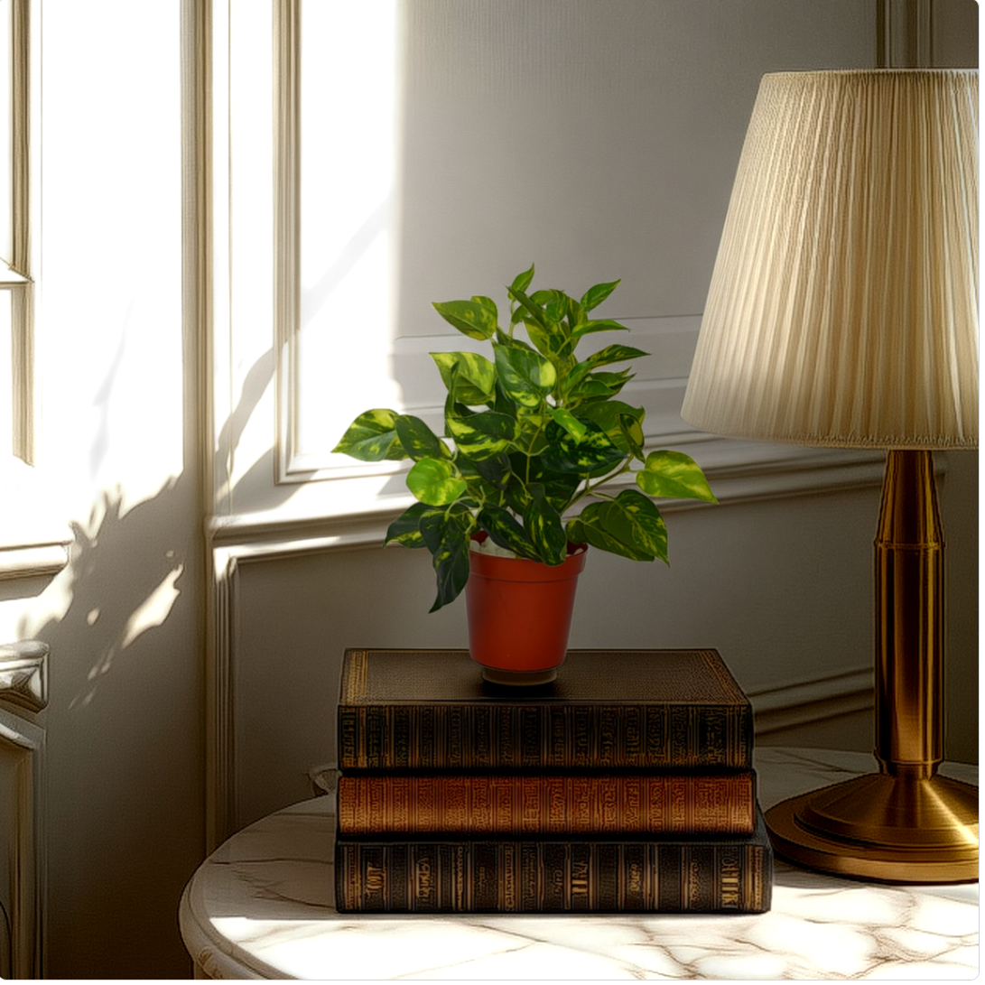 An artificial green plant bush in a red pot, placed on a stack of brown books, with a lamp and a window in the background.
