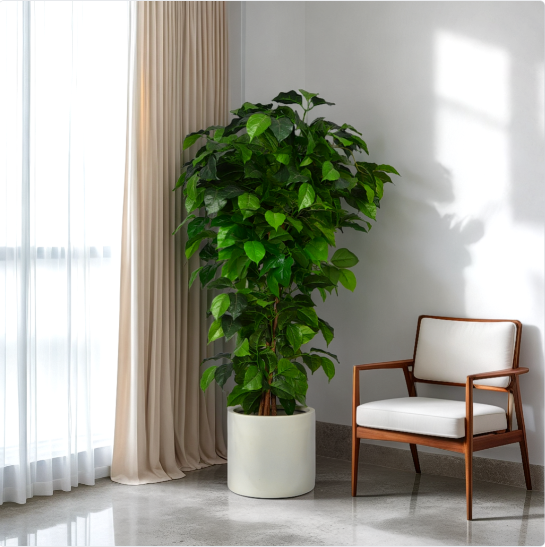 4 Ft Artificial BanyanTree – Perfect for Living Room or Office – Brings Freshness Without Watering