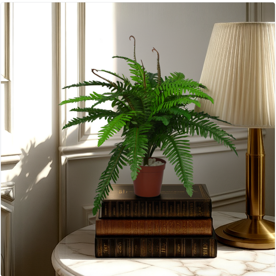 1 Ft Boston Fern Indoor Tropical Accent Plant – Realistic Touch for Modern Interiors