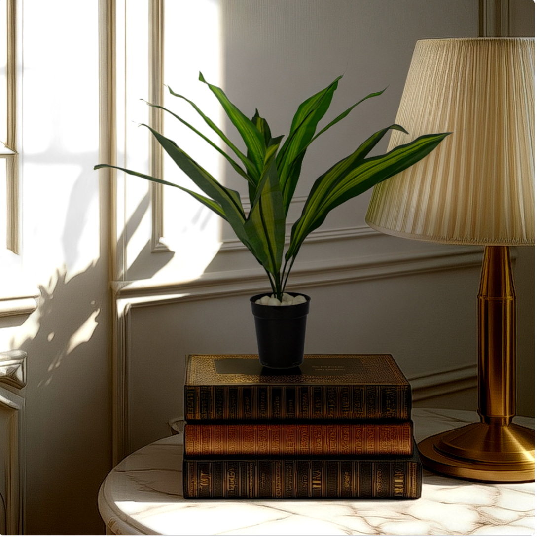 2 Ft Artificial Dracaena 20 – Zero-Care Lush Plant for Office and Home Display, Timeless and Chic Decor
