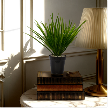 1 Ft Grass Bush Contemporary Lush Green Accent – Vibrant Decorative Plant for Home or Office