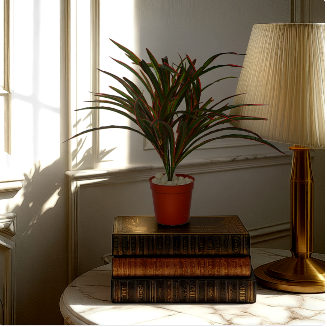 An artificial potted Reddracaena bush placed on a stack of vintage books, with a lamp and window light in the background.