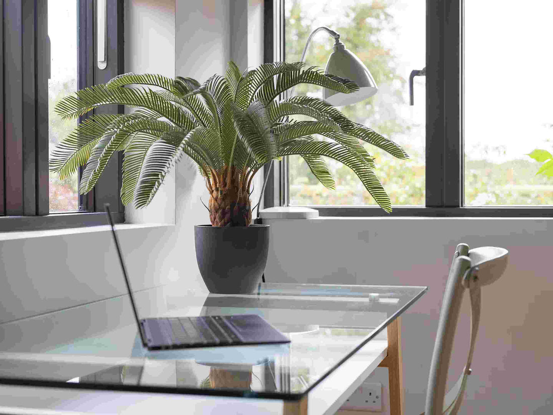 2 Ft Artificial cycas revoluta – perfect for modern home decor