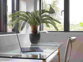2 Ft Artificial cycas revoluta – perfect for modern home decor
