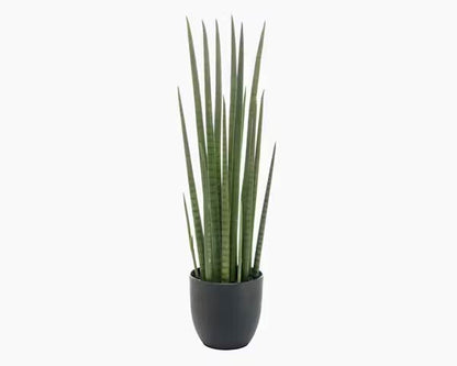 4 Ft Artificial sansevieria cylindrica – perfect for modern home decor