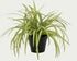 1.5 Ft Artificial spider plant – perfect for modern home decor