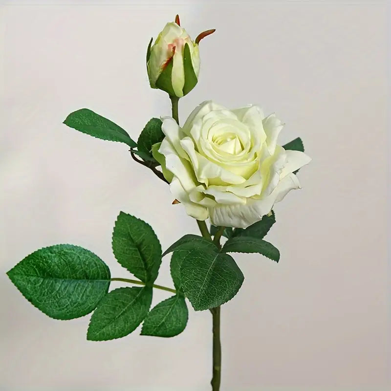 White rose with green leaves on a light gray background