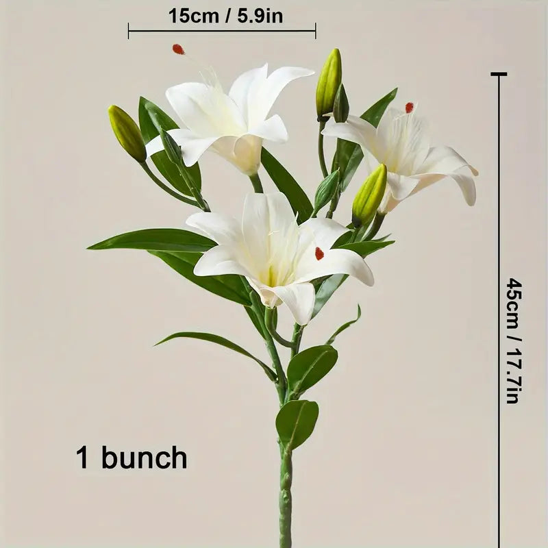 White lilies with green leaves and measurement labels on a beige background