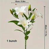 White lilies with green leaves and measurement labels on a beige background
