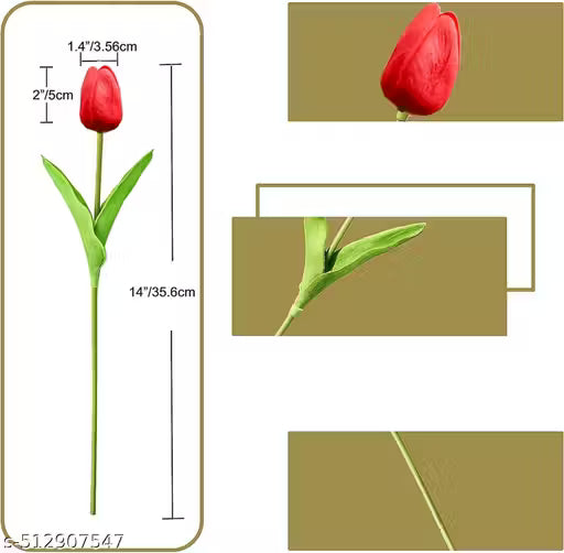 Red tulip with measurements and close-up on a beige background