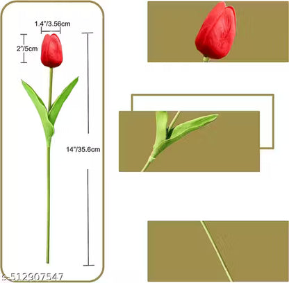 Red tulip with measurements and close-up on a beige background
