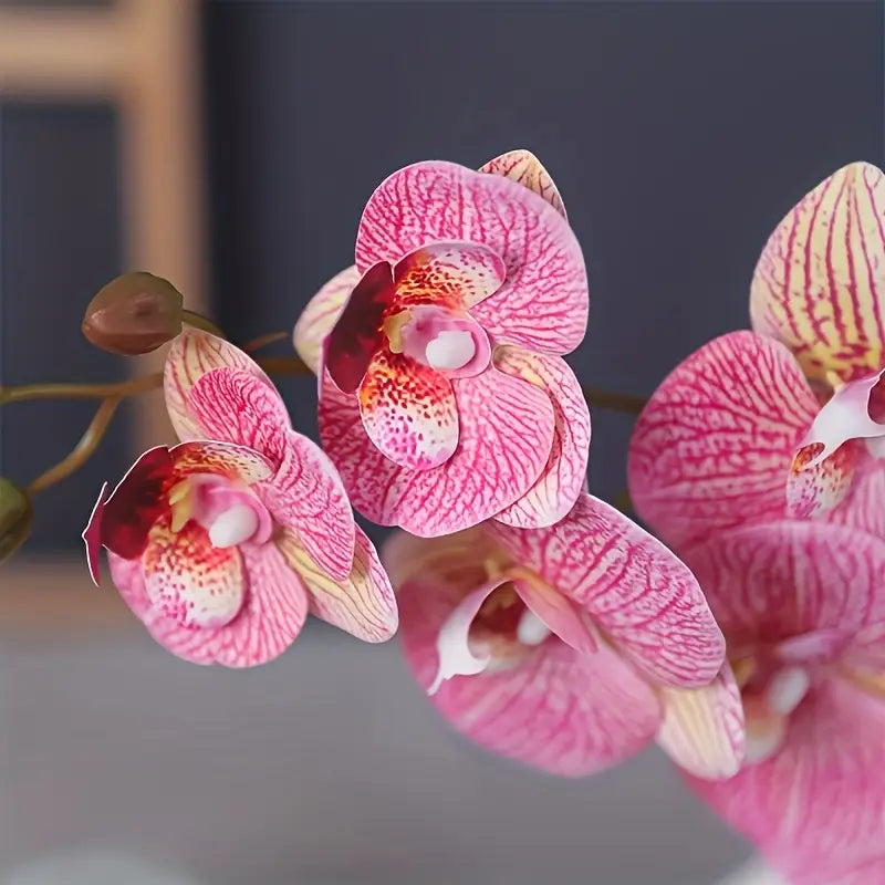 Pink Phalaenopsis Artificial Orchid – Lifelike Faux Floral Stem for Home, Office &amp; Event Decor