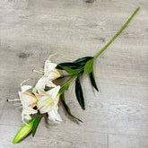 White flowers with green leaves on a wooden surface