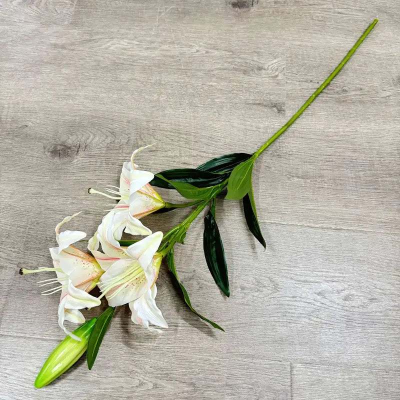 White flowers with green leaves on a wooden surface