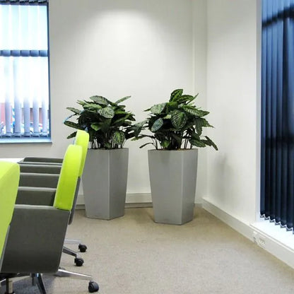 Tropical-inspired 2.5 Ft faux Calathea – perfect for modern interiors
