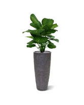 High-quality 2.5 Ft artificial Calathea plant with soft-touch foliage
