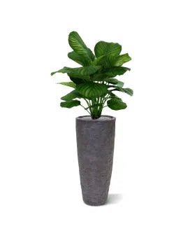 High-quality 2.5 Ft artificial Calathea plant with soft-touch foliage
