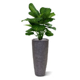 Decorative 2.6 Ft artificial Calathea with lush, tropical foliage
