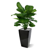 Lush 2.6 Ft faux Calathea with bold green and purple-toned leaves
