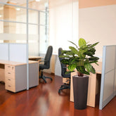 Botanical-inspired 2.5 Ft artificial Calathea for a lush, tropical ambiance
