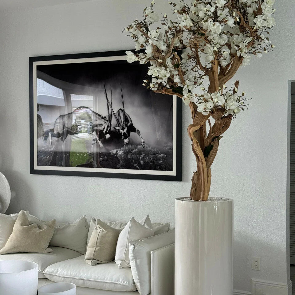 7 Ft White Magnolia Tree in Glossy Beige St. Tropez Planter – styled for modern home interiors